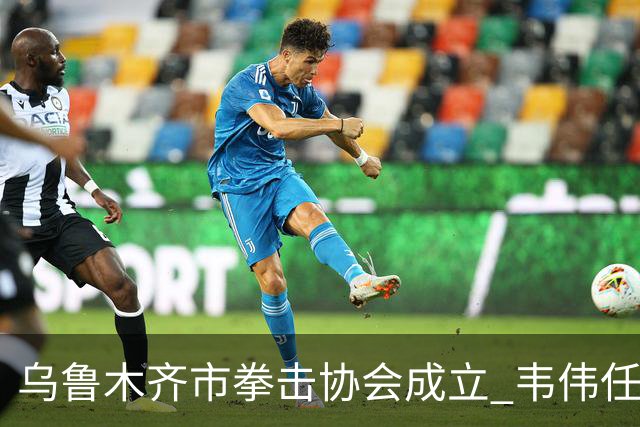 乌鲁木齐市拳击协会成立 韦伟任会长